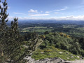 paulev
