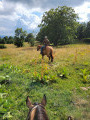 East Ranch