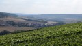 009- Depuis les vignes de La Neuville