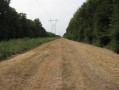 Vouillon.Forêt de Bommiers.Chaussée de César.
