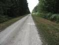 Issoudun.Forêt de Bommiers.Rte de l'Arcade.