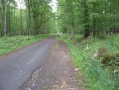 Le Poinçonnet .Forêt de Châteauroux. Rte Forestière de la Hte Forêt.