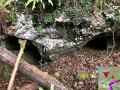 Cavités