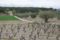 Domaine de la Suffrène
