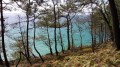 Entre les pins Entre les pins