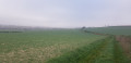 Croisement