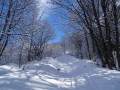 Le Refuge du Nant du Beurre