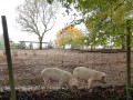 Boucle autour de Périssac Boucle autour de Périssac