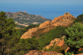 20 juillet 2019 Calanches et Forêt de Piana
