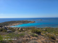 202609071038-Bruzzi