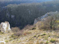 2°point de vue (2)