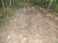 Chemin du lieu-dit La Plaine des Bouleaux