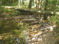 Passerelle sommaire sur un ruisseau