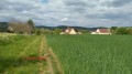 Le chemin herbeux