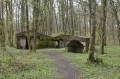 Der Bunkerweg aus dem 1. Weltkrieg in Burnhaupt-le-Bas