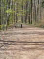 9. Chemin de retour
