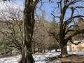 A côté de la chapelle