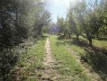 A coté des arbres fruitier A coté des arbres fruitier