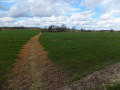 A Country Amble between Leiston and Saxmundham