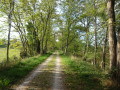 Voie Verte Bram - Mirepoix