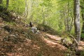 A l'approche du cairn