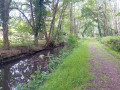 A l'ombre au bord de la rivière