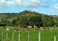 À l'ombre du Château de Belvoir