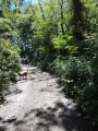 A l'ombre du sous bois