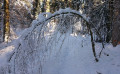 À la découverte du "Grand Nord"
