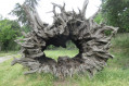 A la maison forestière