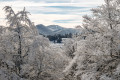 A la prairie du Lièvre Blanc A la prairie du Lièvre Blanc