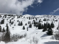 A la sortie de la foret A la sortie de la foret