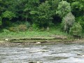 A marée basse