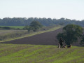 Holkham to Wells