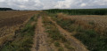 À travers champs