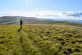 Glen Sherup Horseshoe, The Ochils