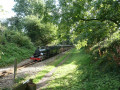 A Walk along the Bure Valley Path