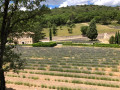Abbaye de Senanque