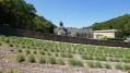 Abbaye de Senanques
