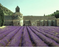 Abbaye Notre-Dame-de-S&eacute;nanque