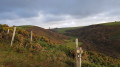 Abbey River Valley and St Nectans Church far away