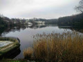 Abbey Village Reservoirs Circular