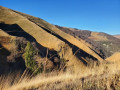 Abdulmaia