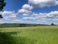 Abinger Hammer countryside