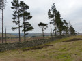 Above Park Plantation looking South