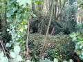 Abri dans la nature Abri dans la nature