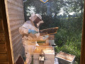 Abri de démonstration apicole – l'apiculteur