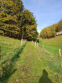 Abzweig oberhalb der Ortschaft Kemna