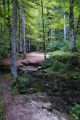 La Source Bleue