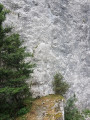 Acc&egrave;s &agrave; ... une falaise verticale !